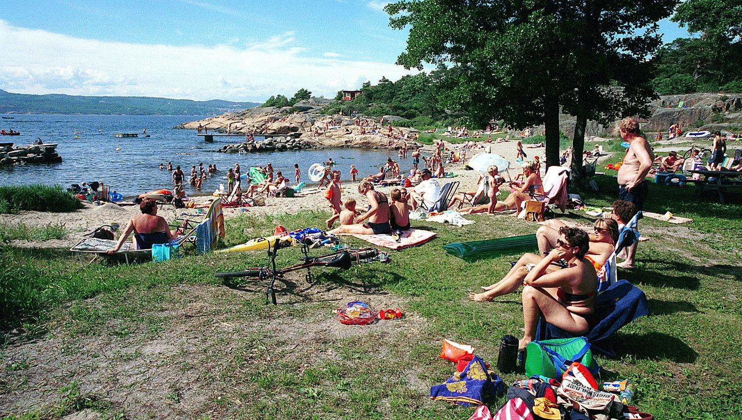 Mange mennesker på strand og gresslette