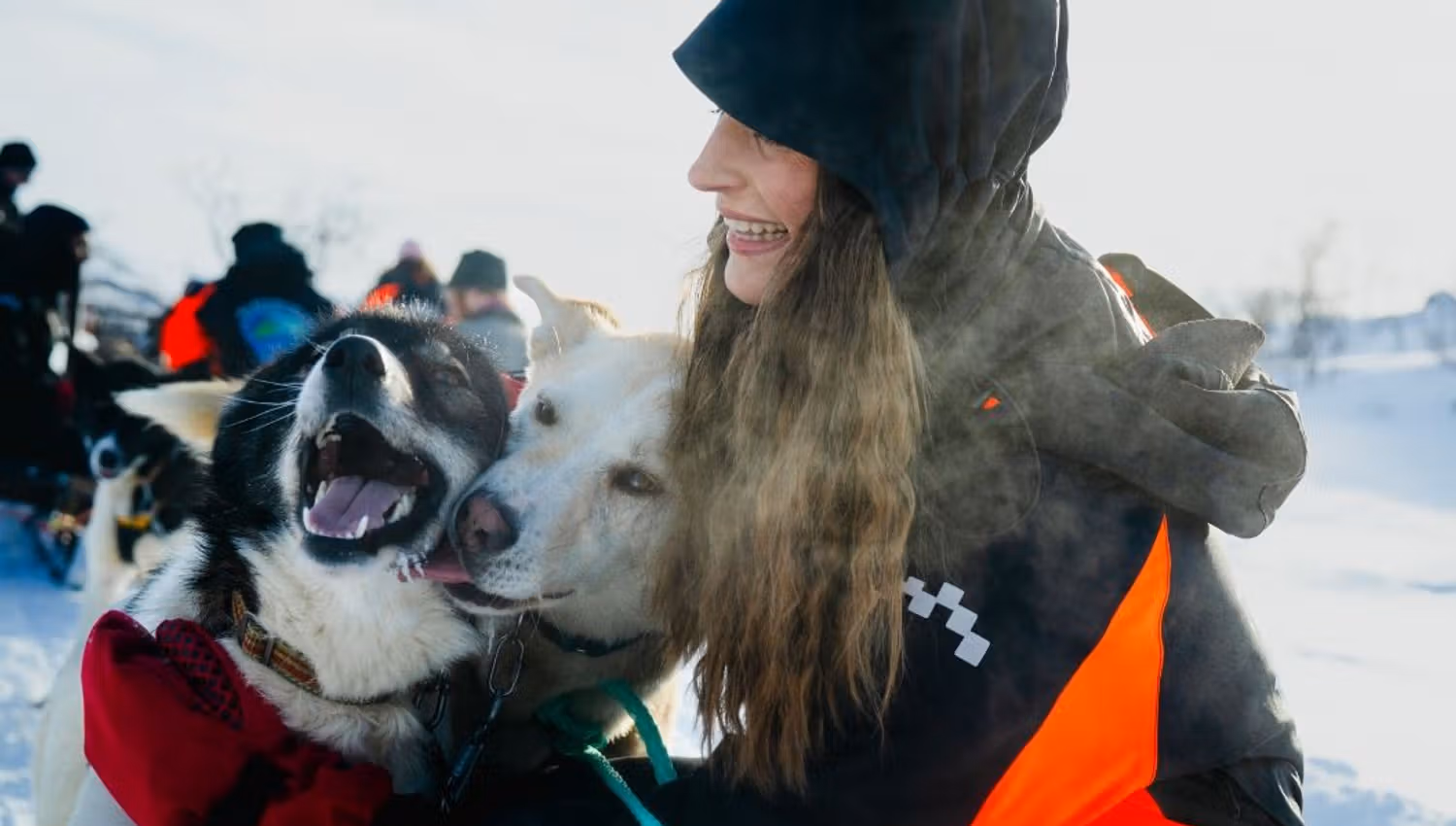 Guest petting the huskies