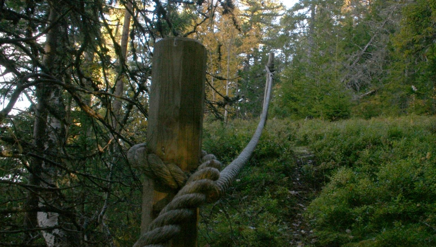 Ørdalen