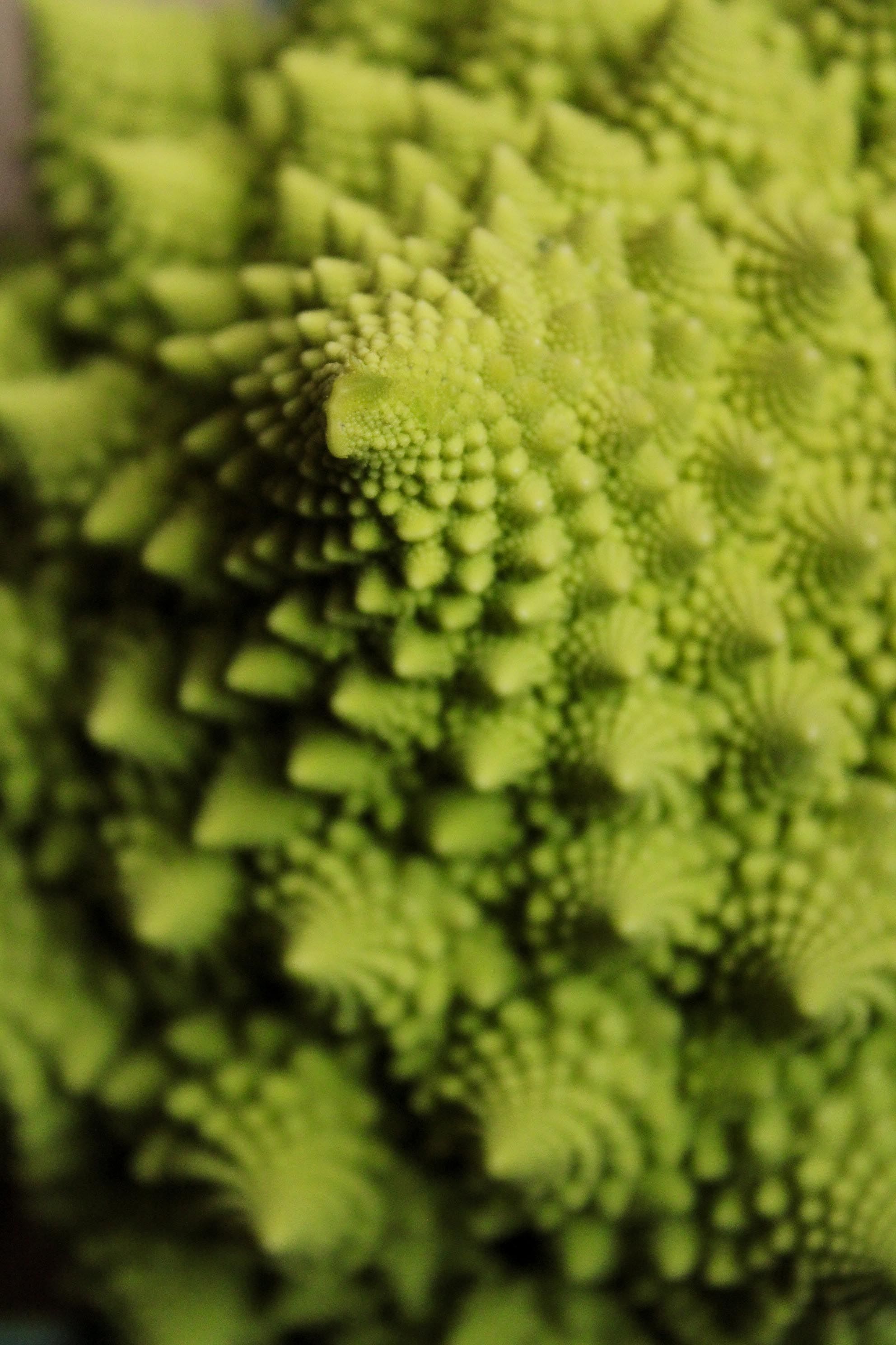 Extreme close-up of green romanesco broccoli showing spiral, cone-shaped florets with a textured surface..