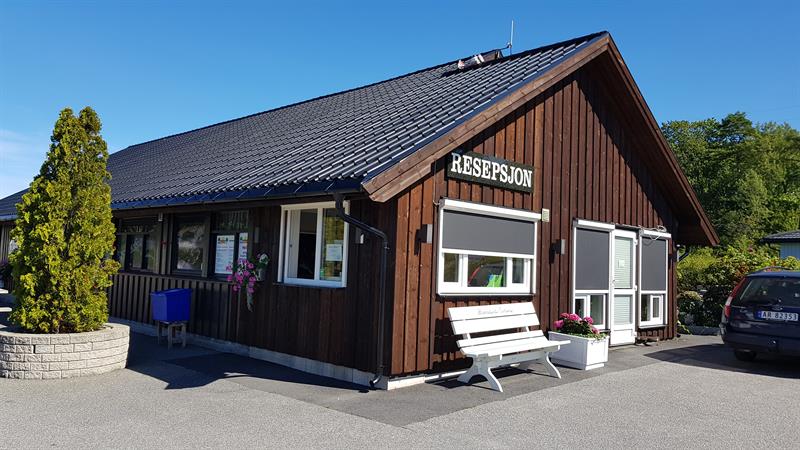 The Reception and shop