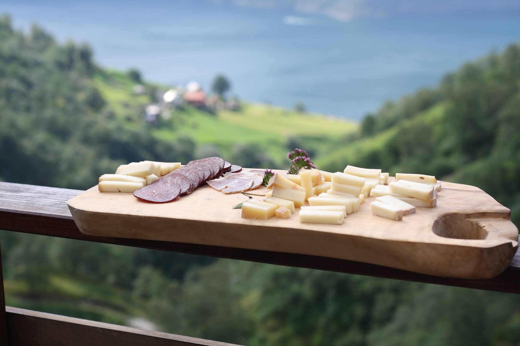 FjordSafari & Vandretur