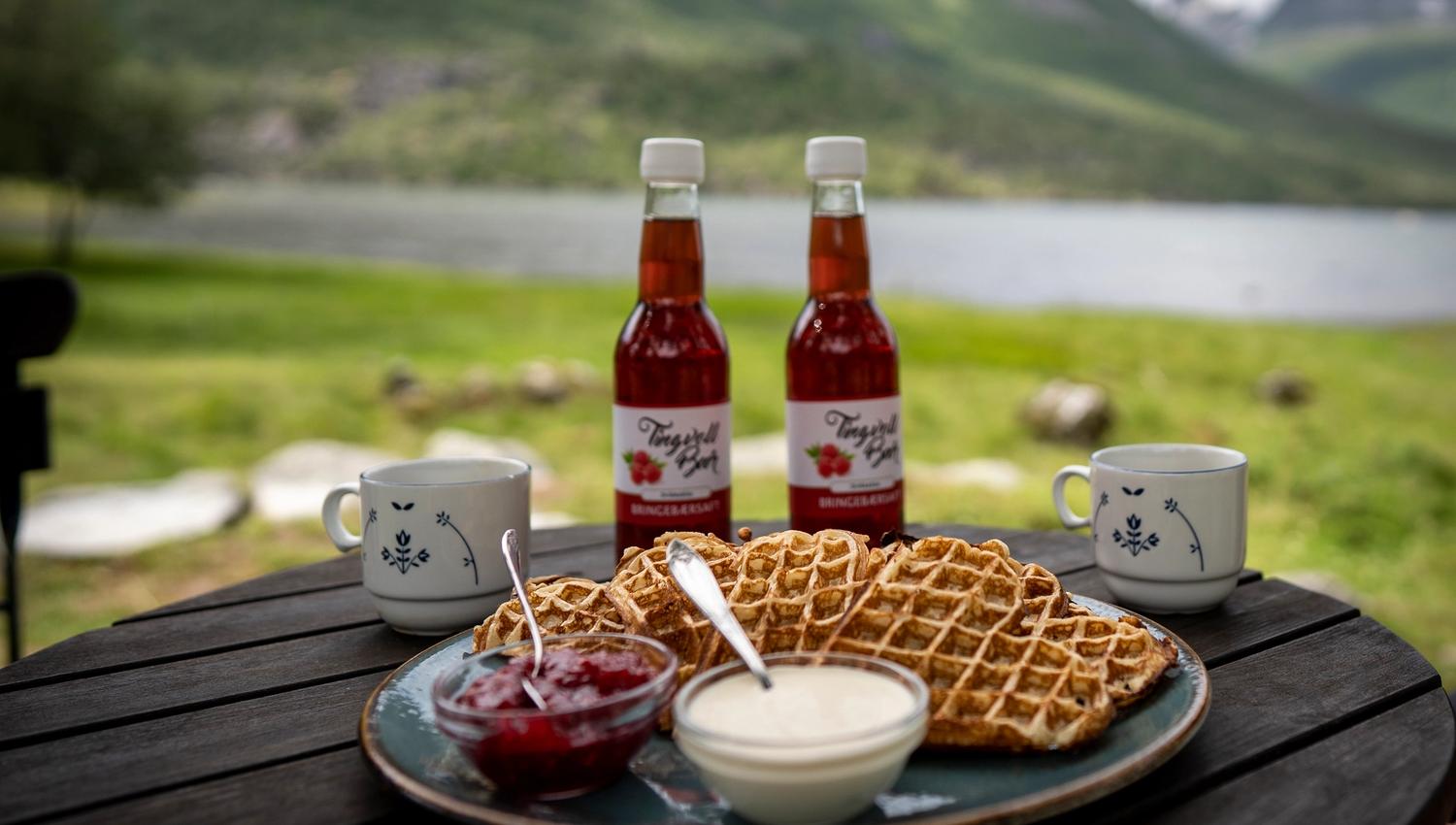Renndølsetra