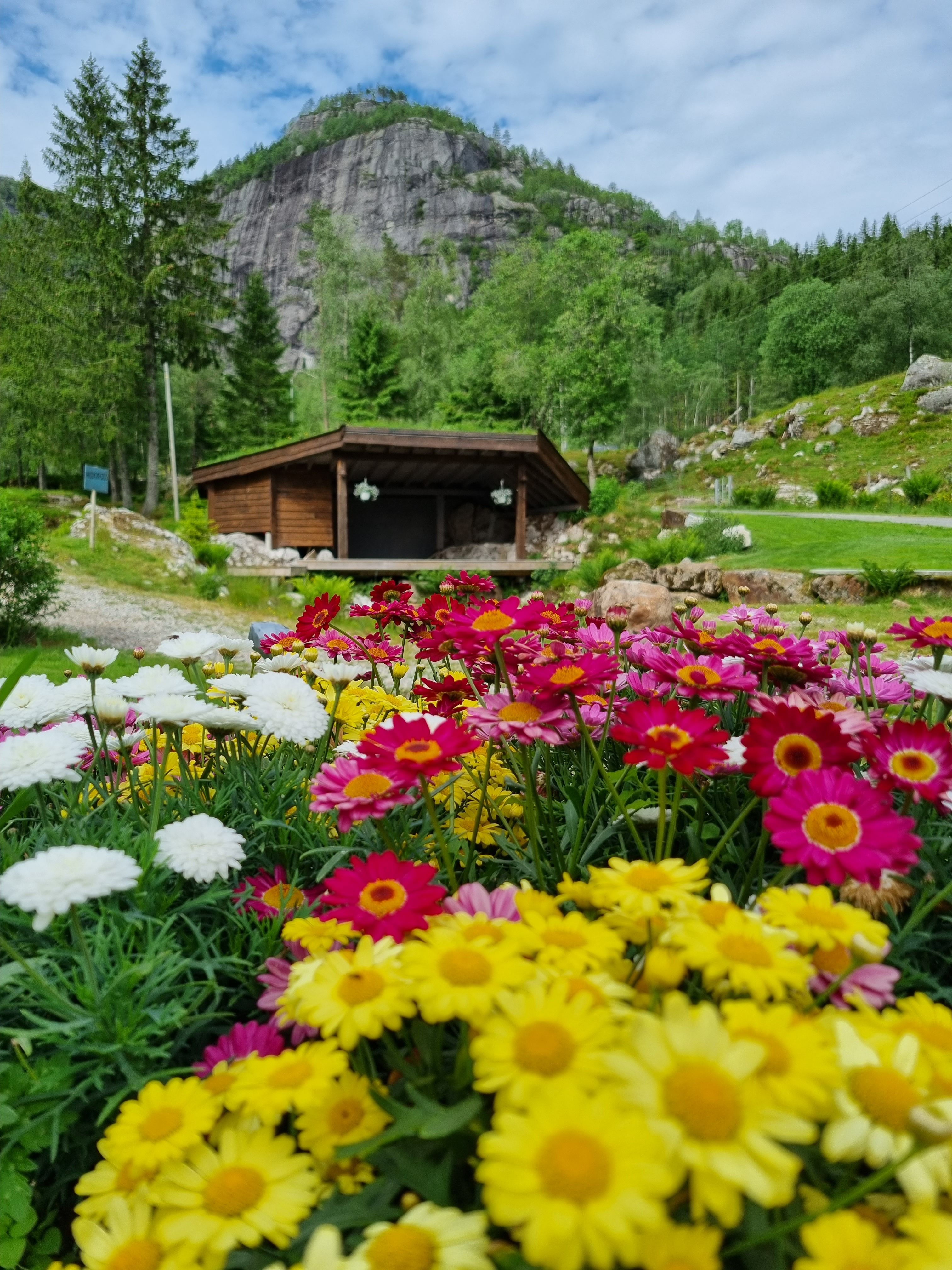 Sirdal Huskyfarm Camping