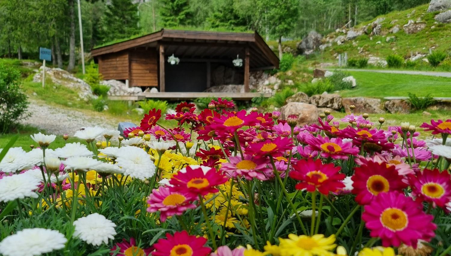 Sirdal Huskyfarm Camping