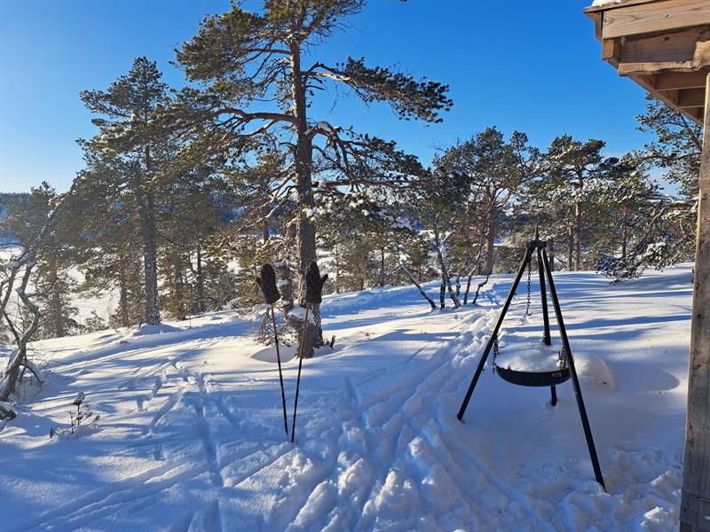 Vinter på Hillestad
