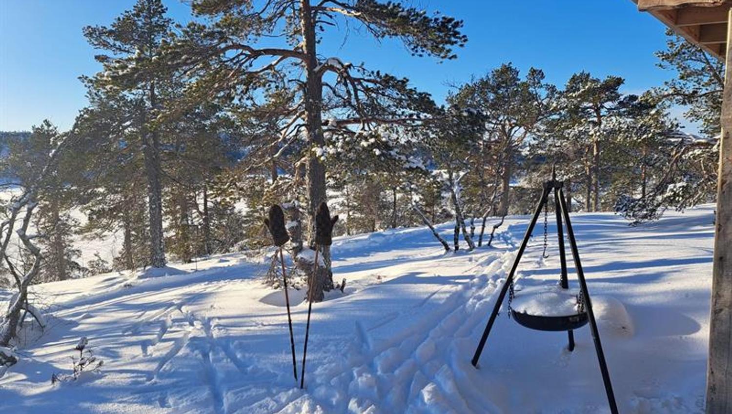 Vinter på Hillestad