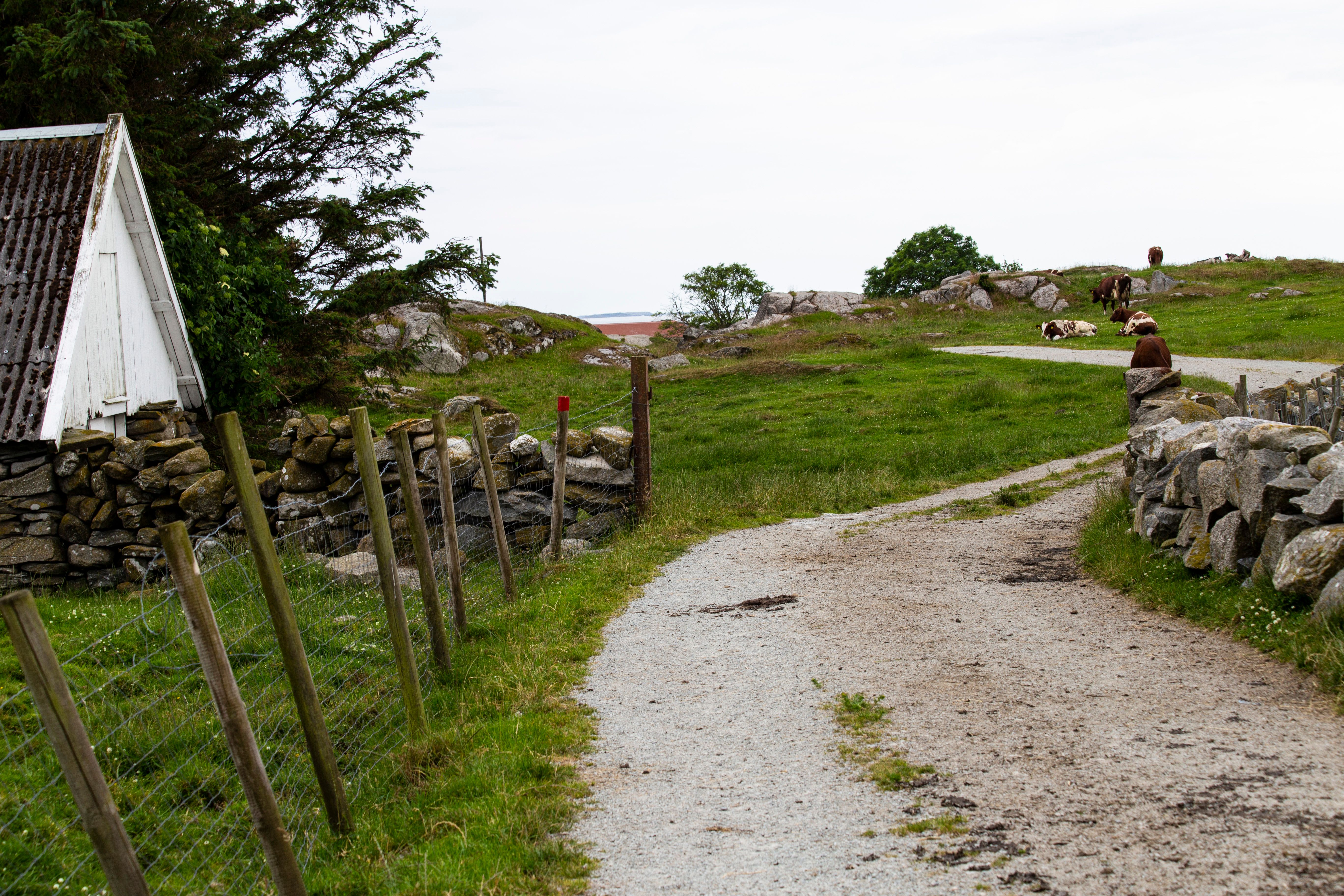 You walk on gravel paths