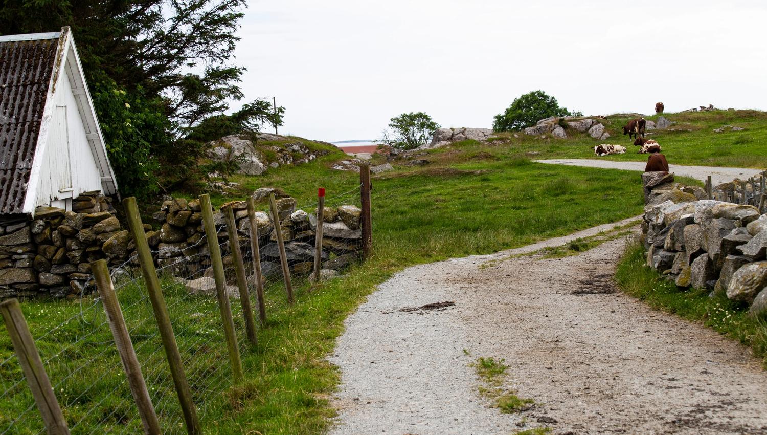 You walk on gravel paths