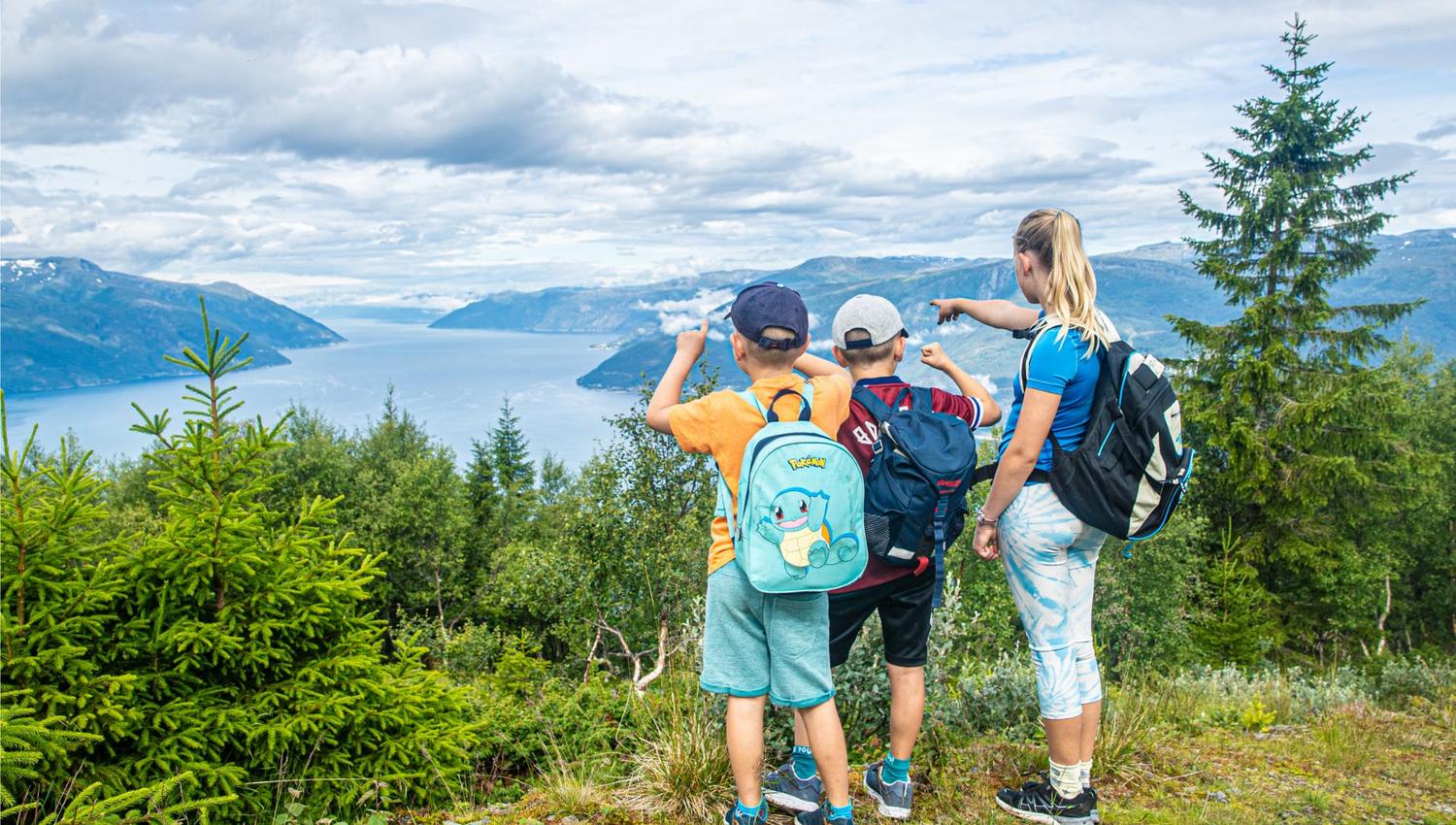Hike to Synshovden, Vik