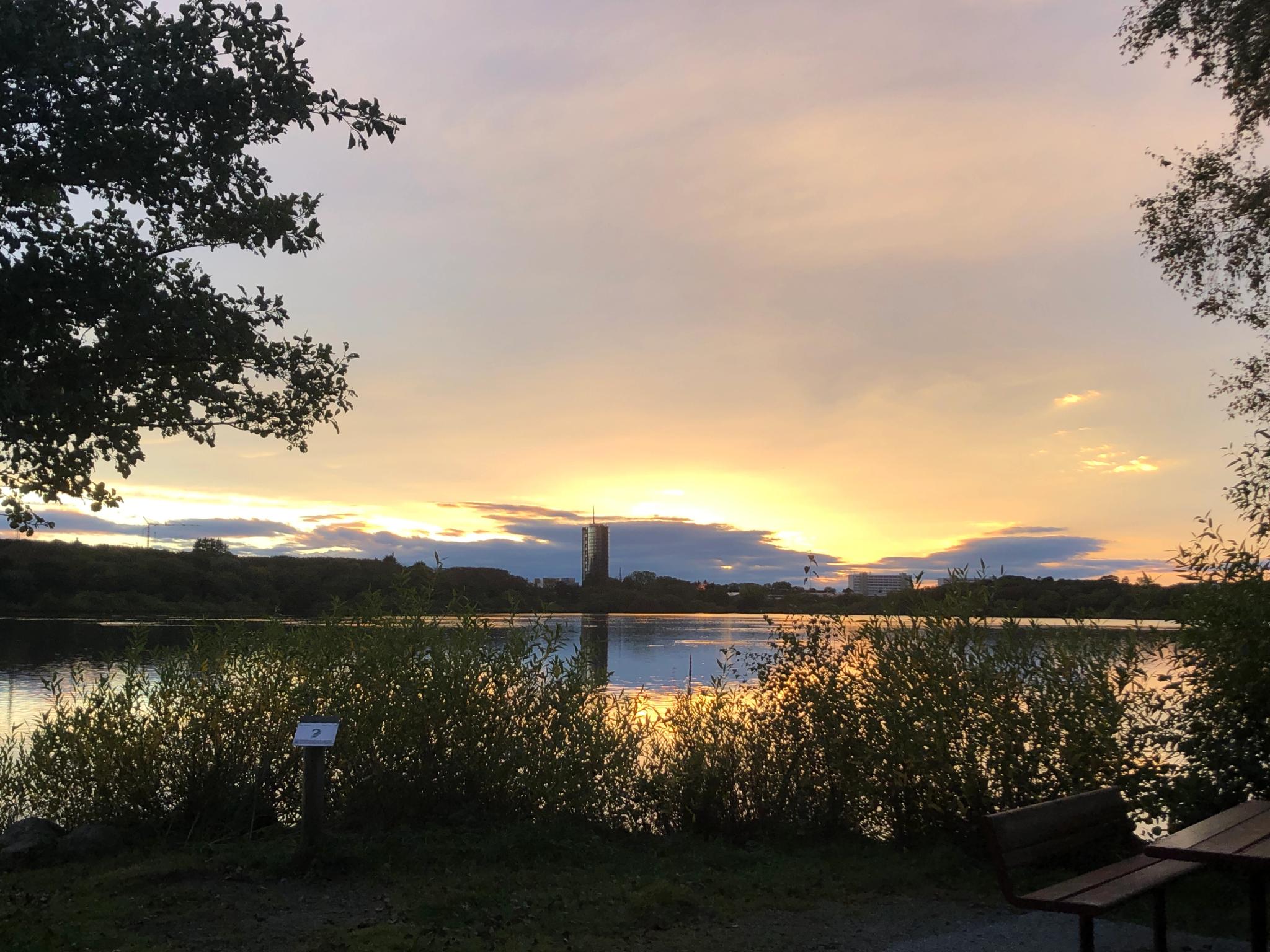 Mosvatnet Nature Reserve in Stavanger