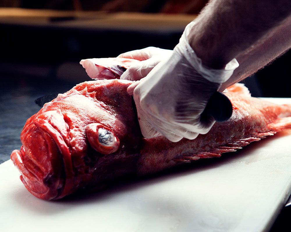 Fra fiskedisken
