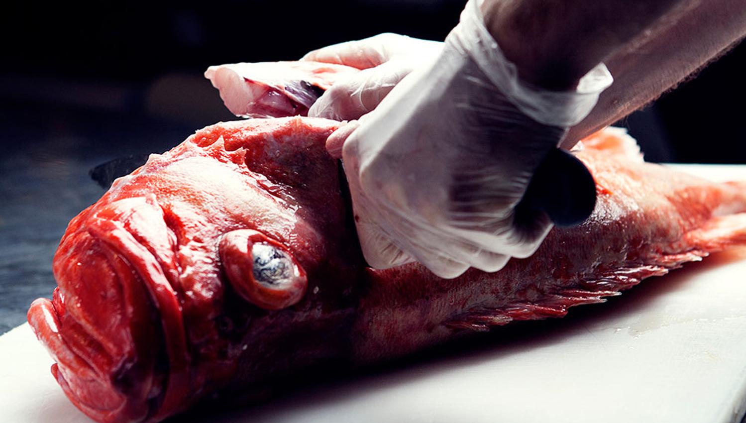 Fra fiskedisken