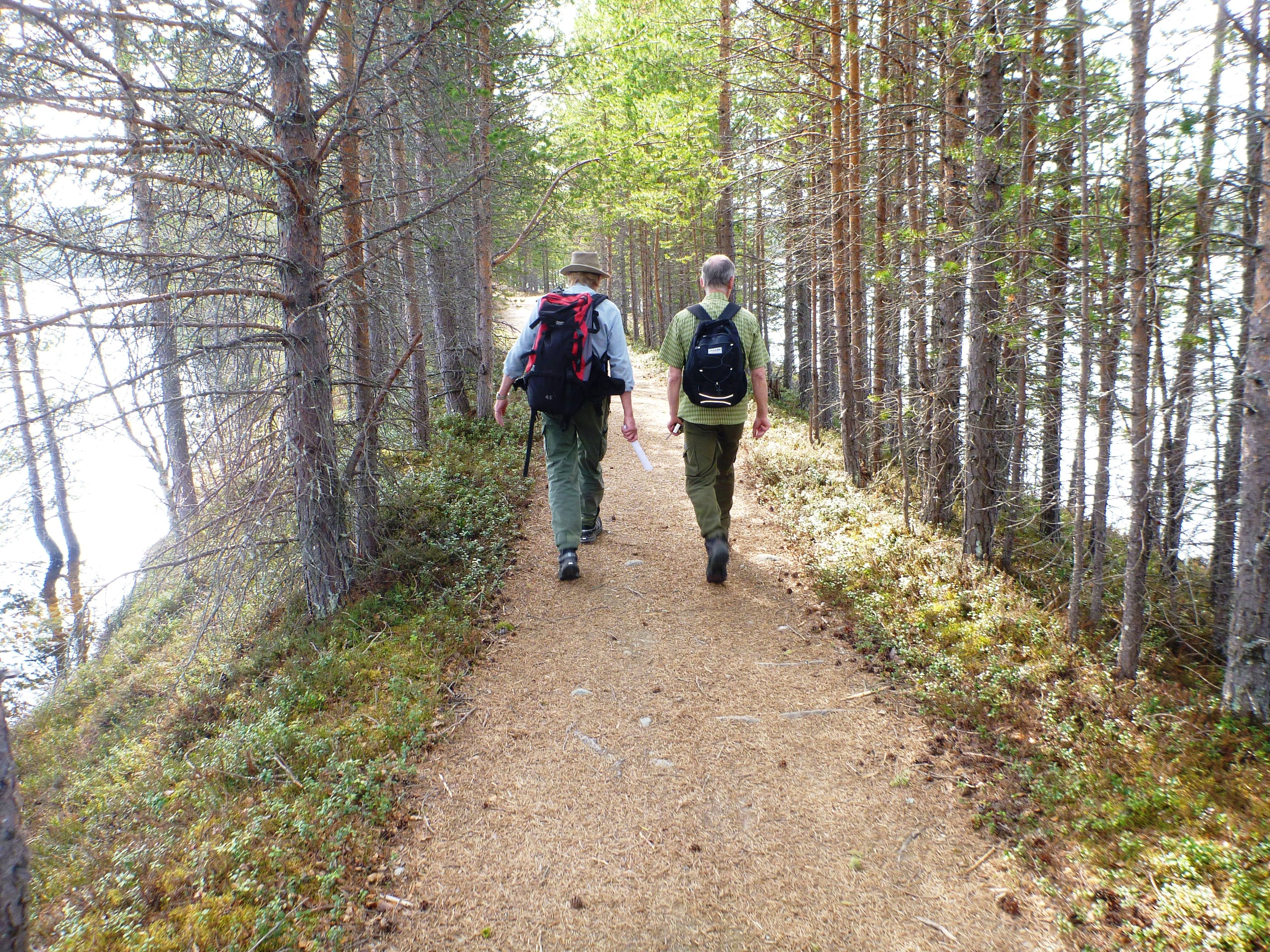 Mølmannsdalen natursti