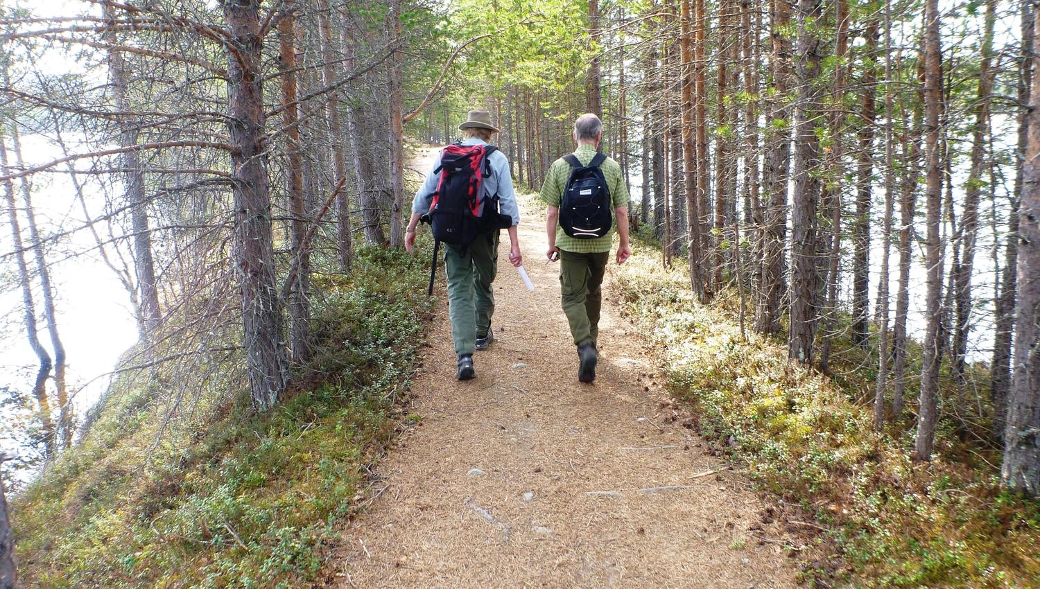 Mølmannsdalen natursti