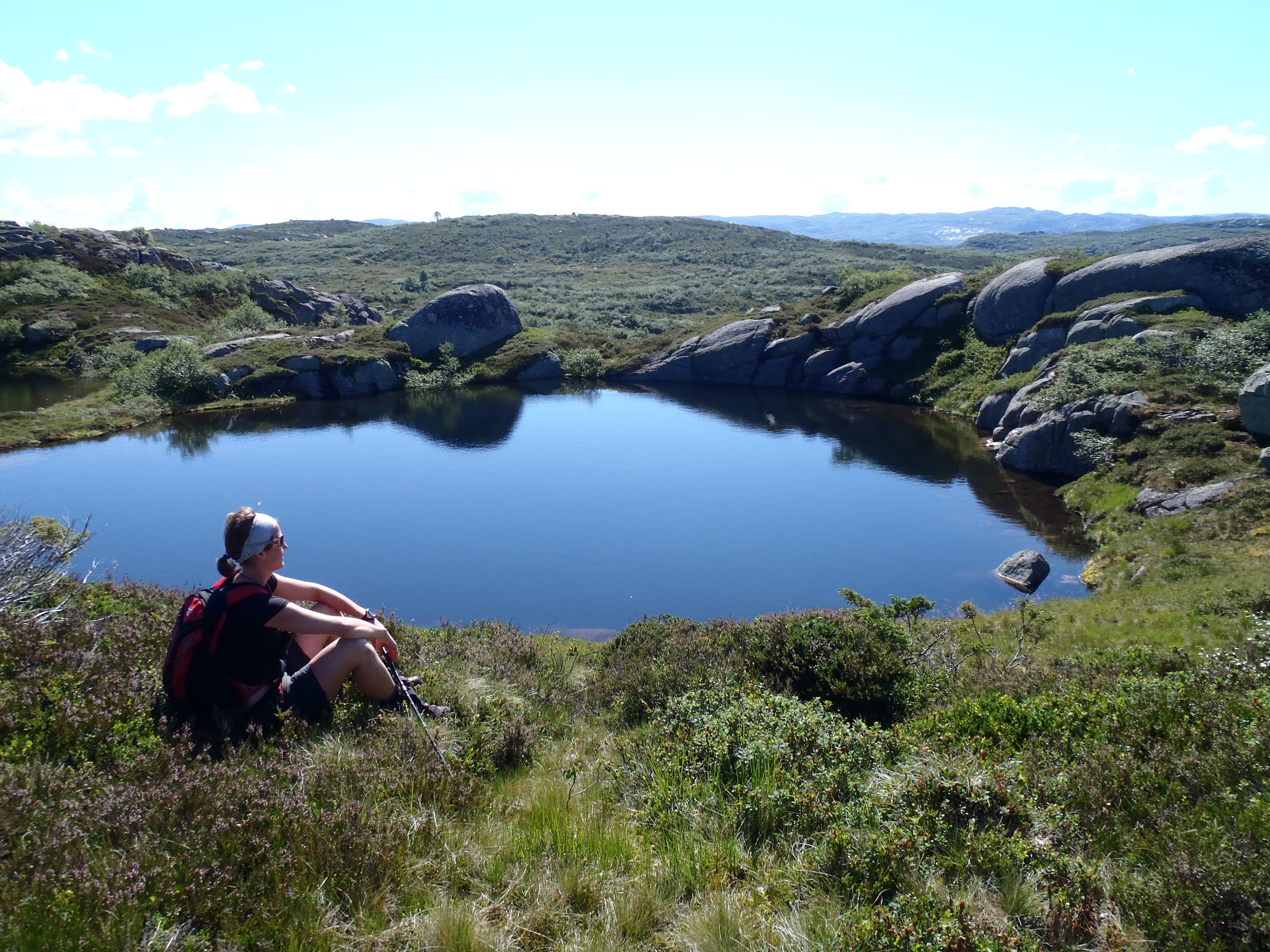 Låghei