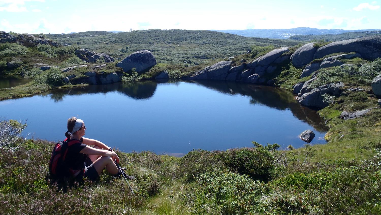 Låghei