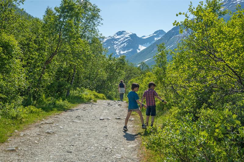 Guida familietur ved breen - Fjærland