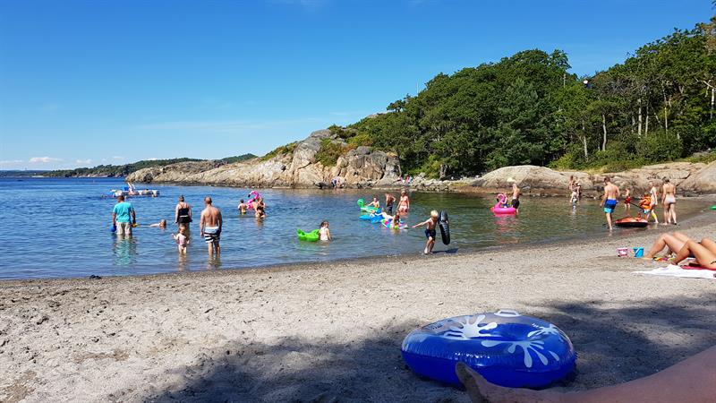 The Beach