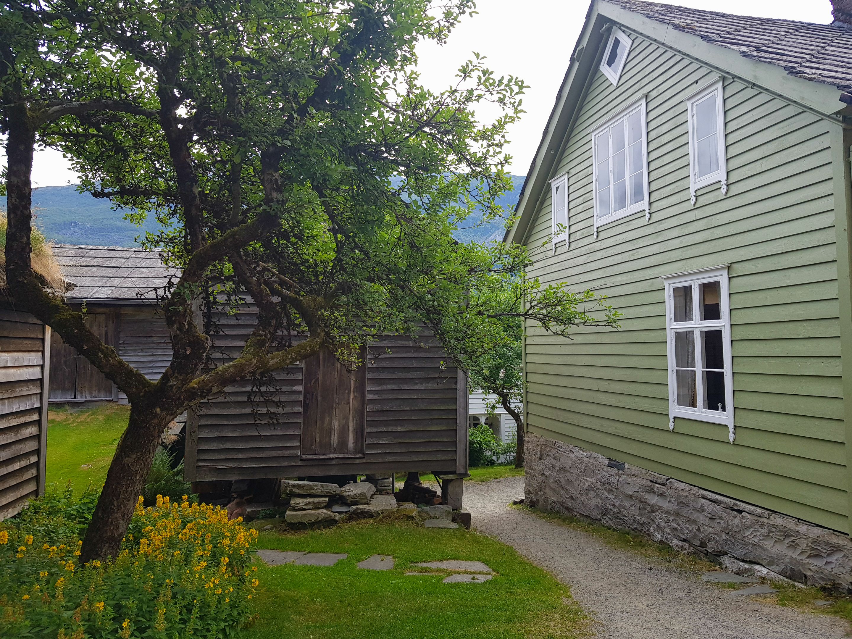 it is narrow in between the houses with trees surrounding them