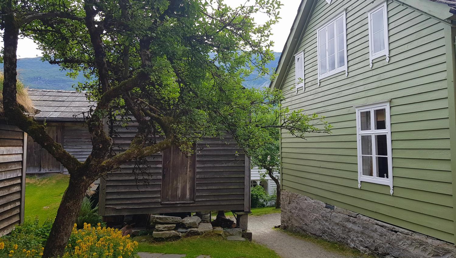 it is narrow in between the houses with trees surrounding them