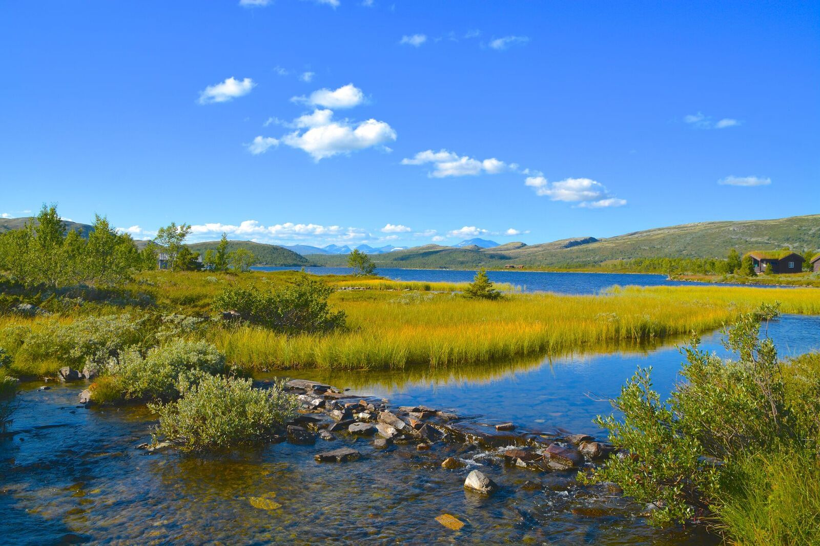 Svartfjellrunden
