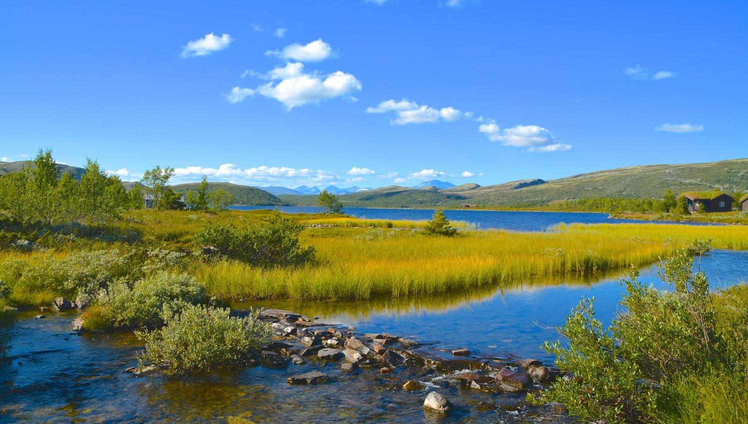 Svartfjellrunden