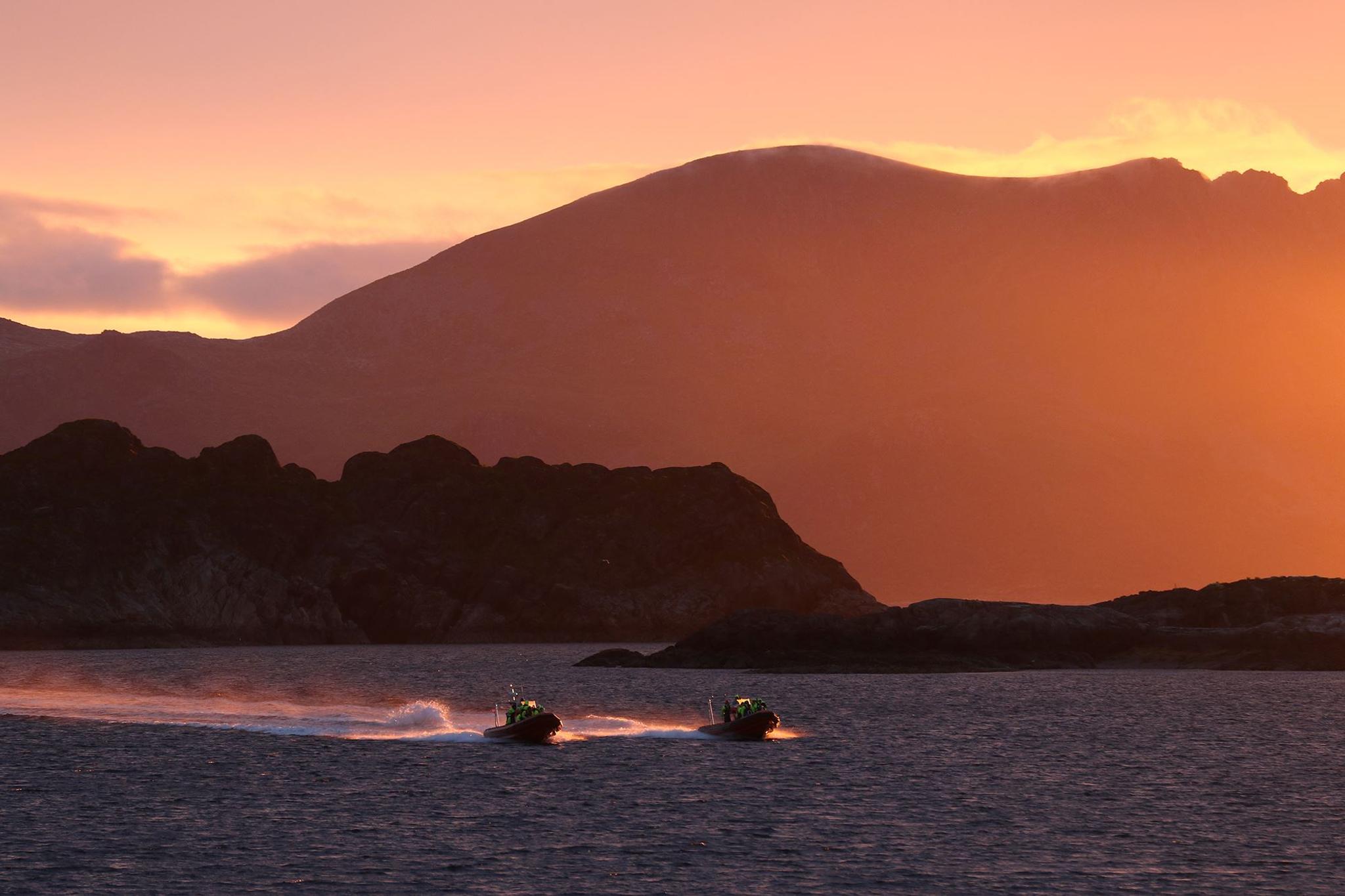Midnight sun safari from Henningsvær with Lofoten Opplevelser