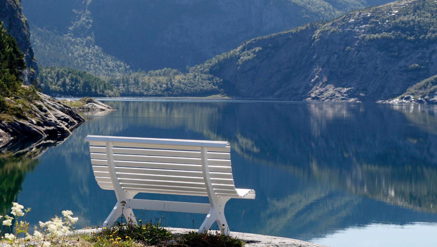Hvit benk ved vannet ved Flatanger Camping