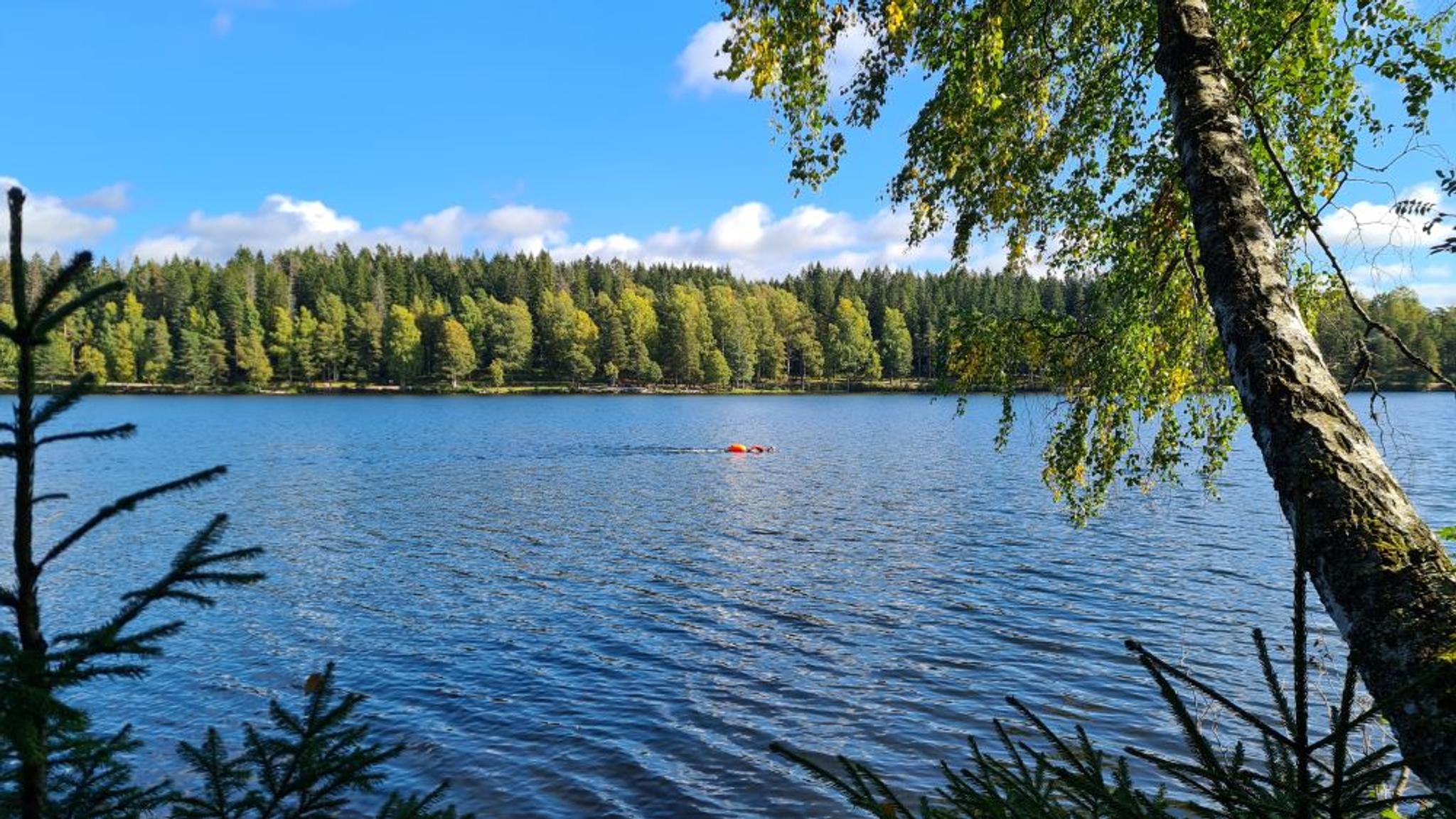 Sognsvann during summer
