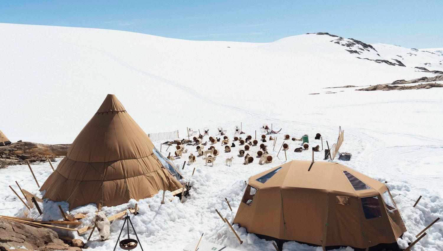 Folgefonna husky camp in the snow with several husky houses and dogs and folgefonna glacier in the background.