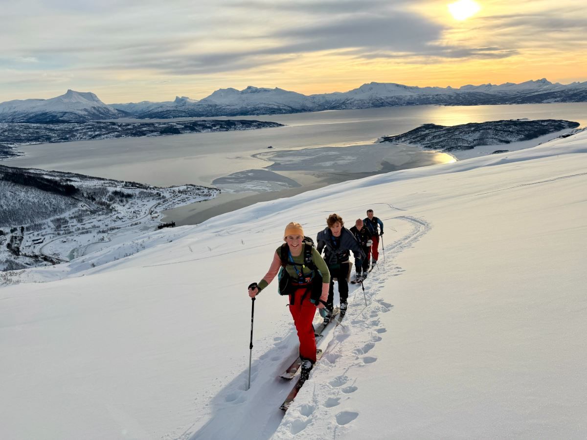 Four backcountry skiers climb a snowy ridge toward the camera, with a fjord and mountains under a low sun..