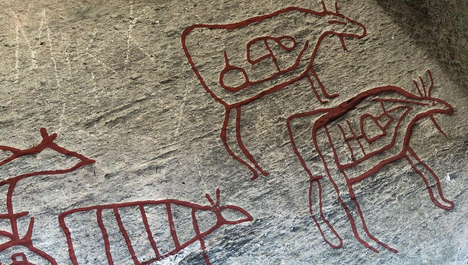 Fottur til Mjøskastellet på Steinsholmen - Helleristninger