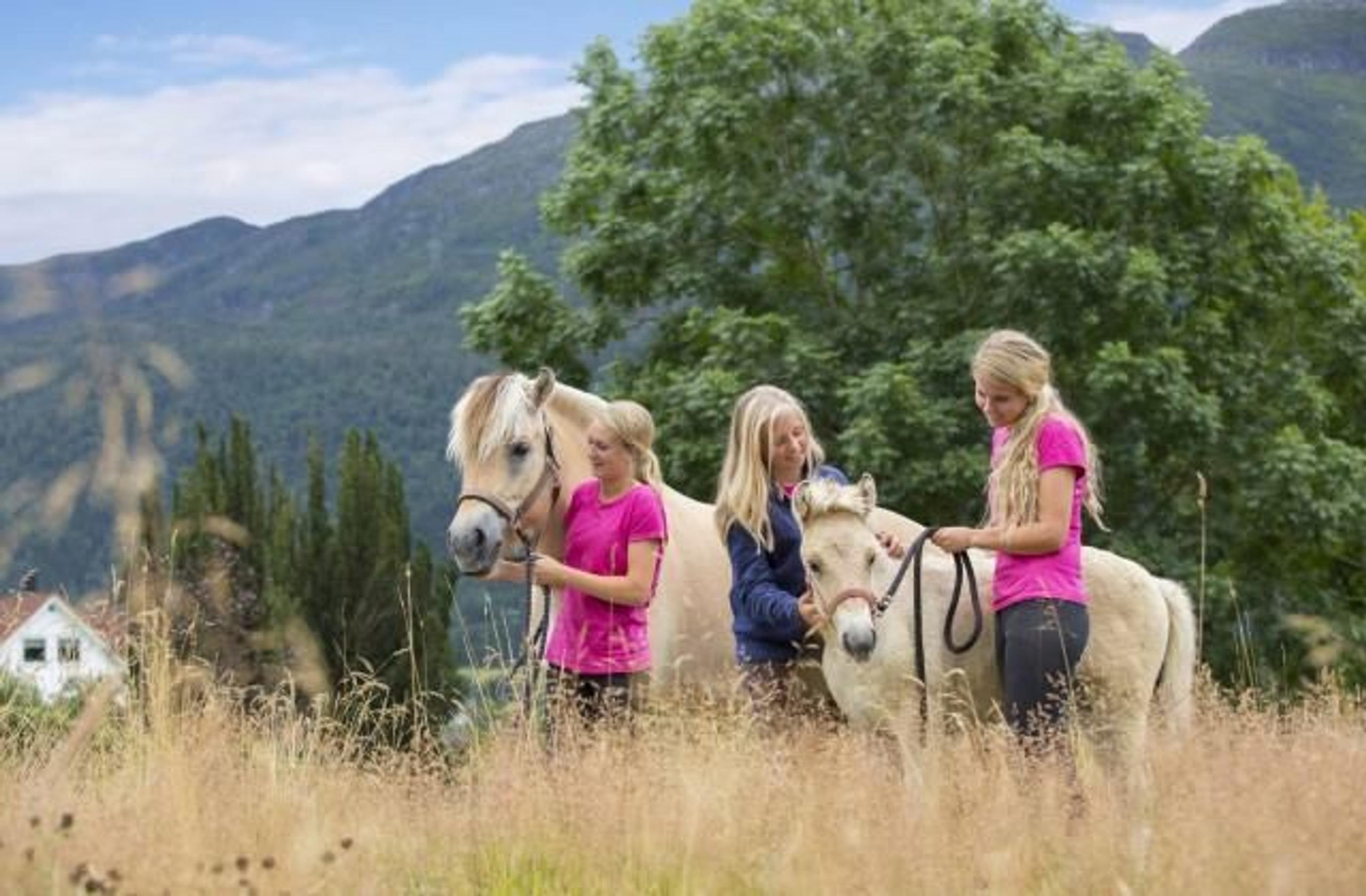 Riding classes | Norsk Fjordhestsenter