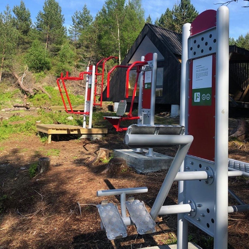Outdoor gym machines in red and silver beside a small dark cabin, surrounded by pine trees and sunny ground..