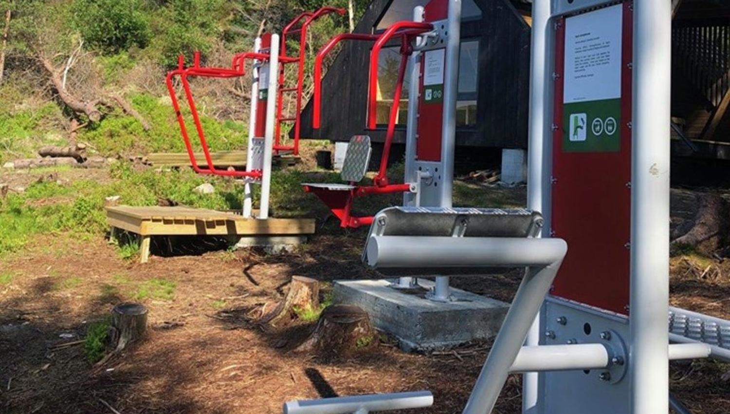 Outdoor gym machines in red and silver beside a small dark cabin, surrounded by pine trees and sunny ground..