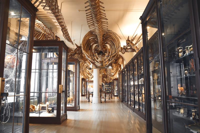The University Museum of Bergen