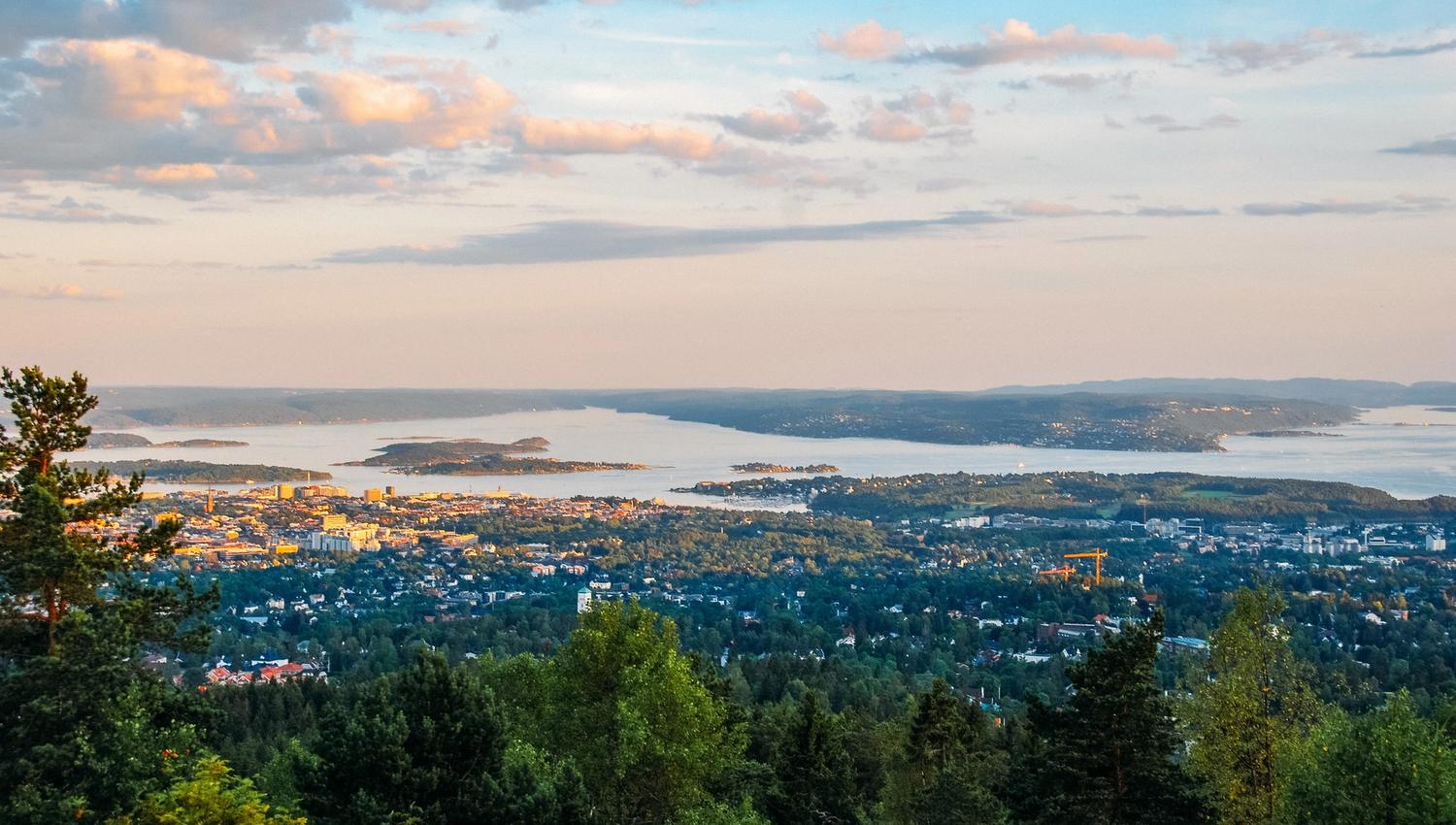 fjord and city views