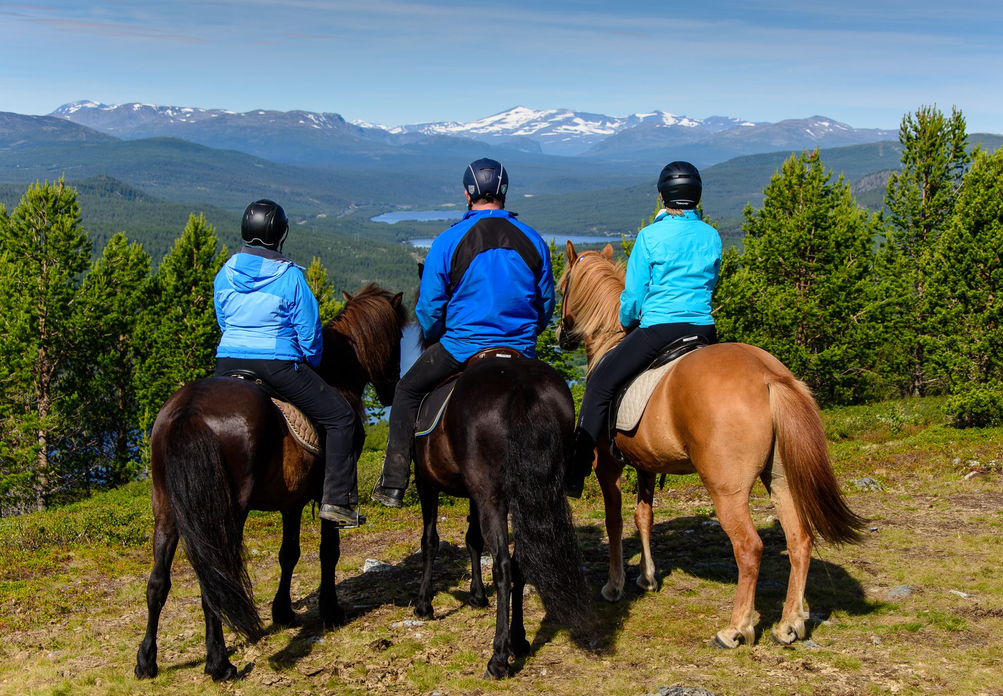 Utsikt fra Dalseter på hesteryggen