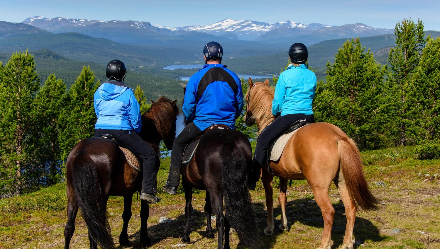 Utsikt fra Dalseter på hesteryggen