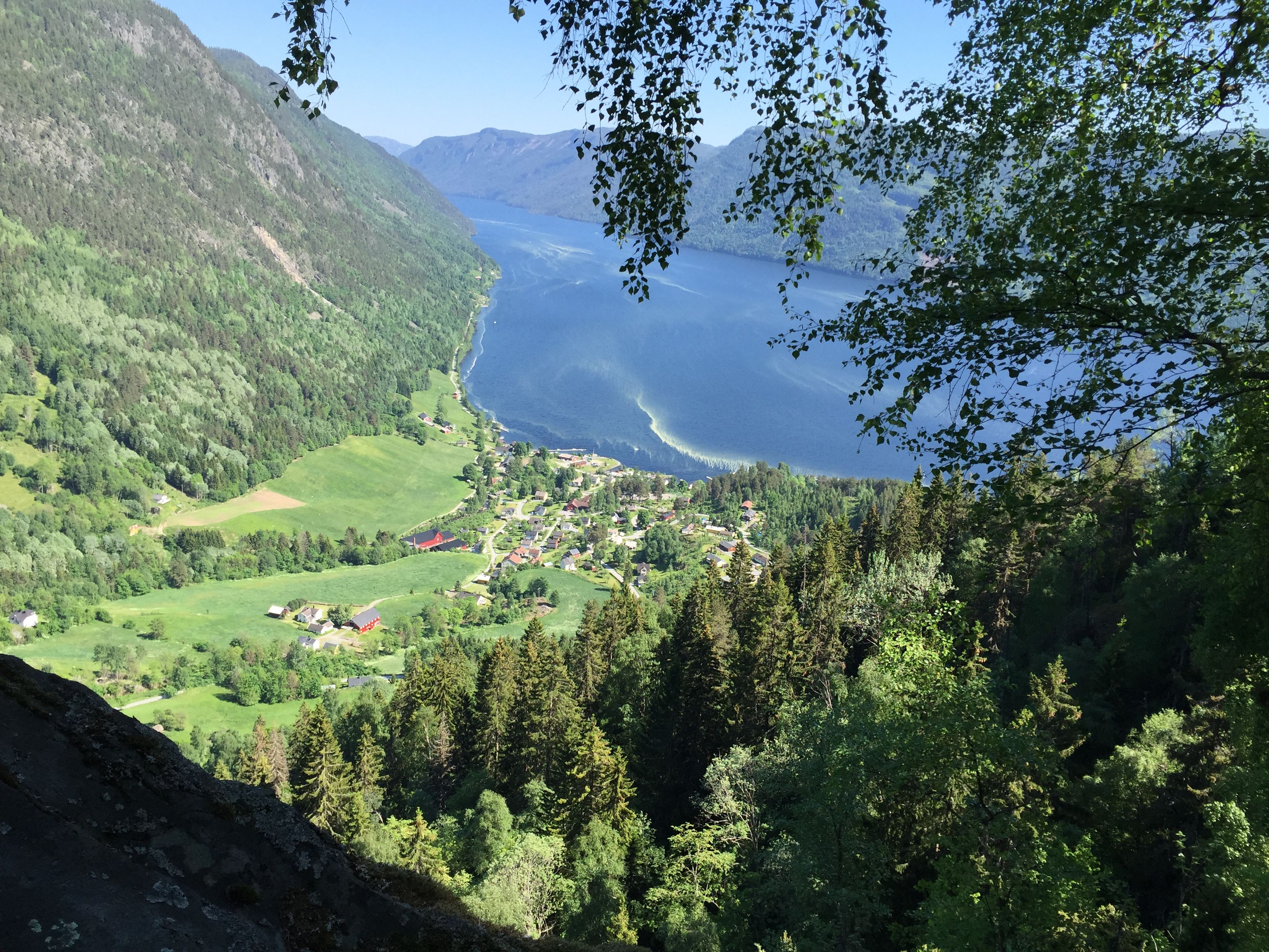Lårdal 