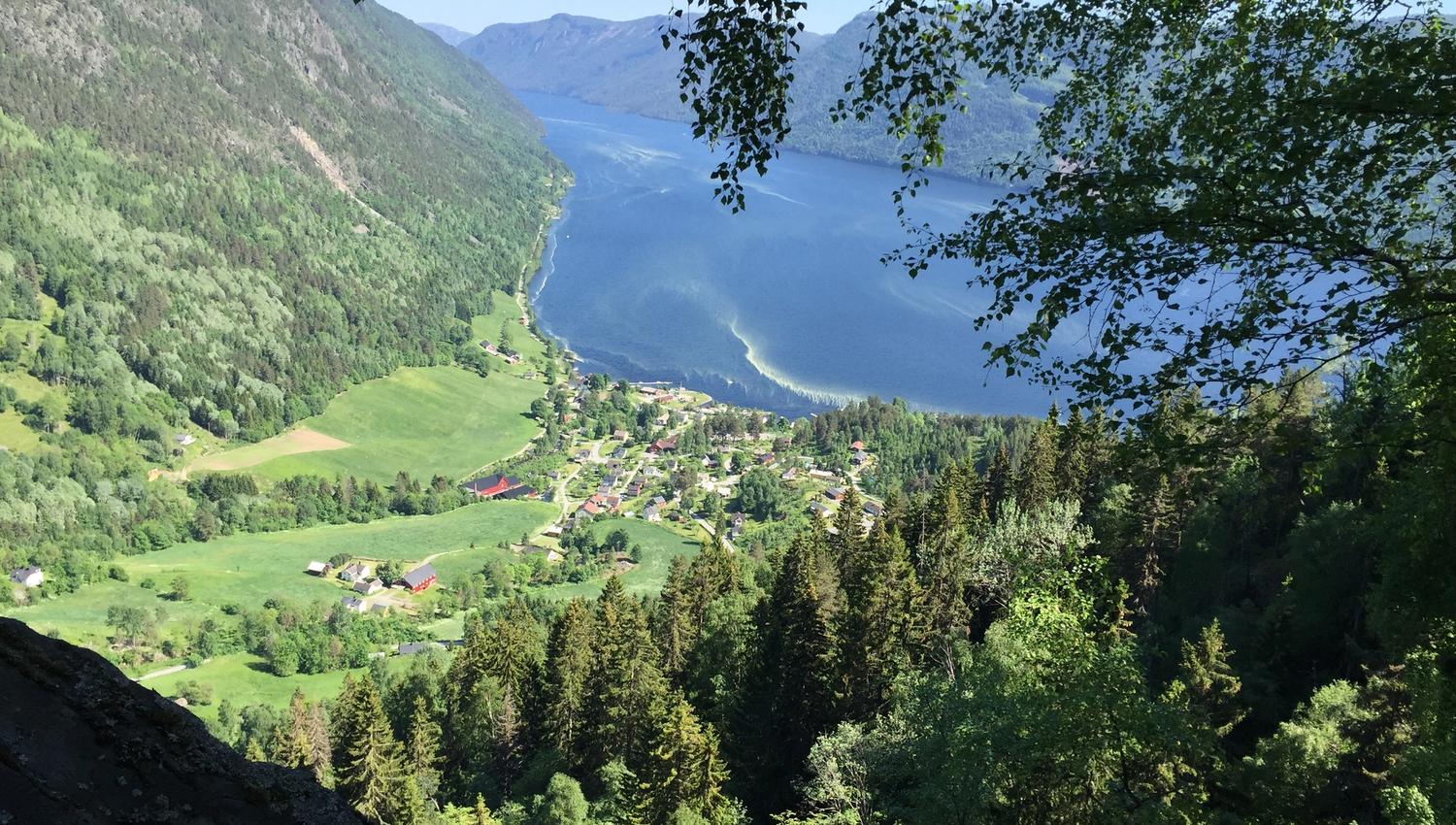 Lårdal