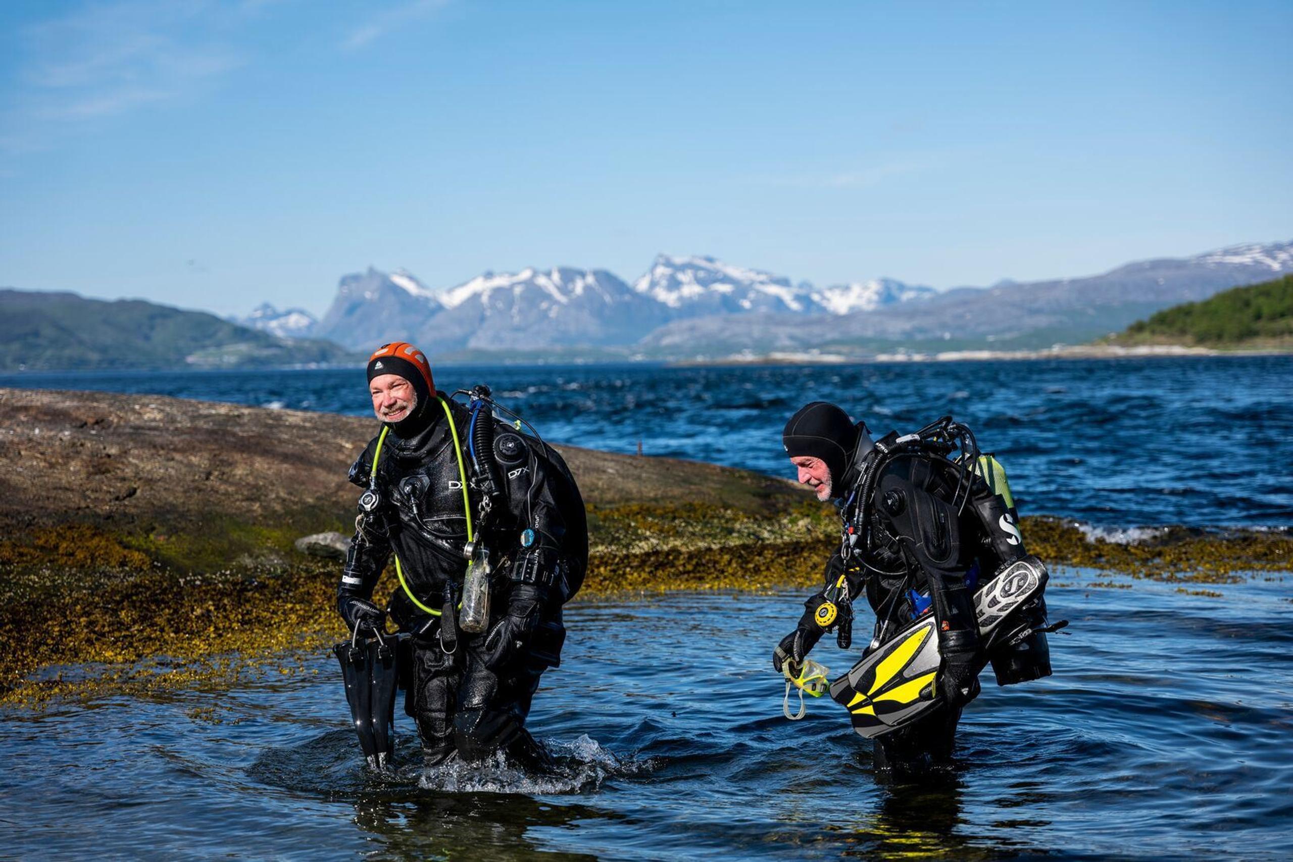 Dykking i Saltstraumen
