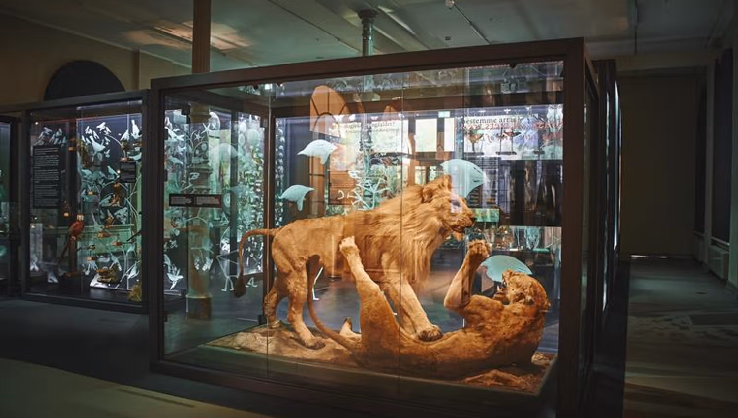 The University Museum of Bergen