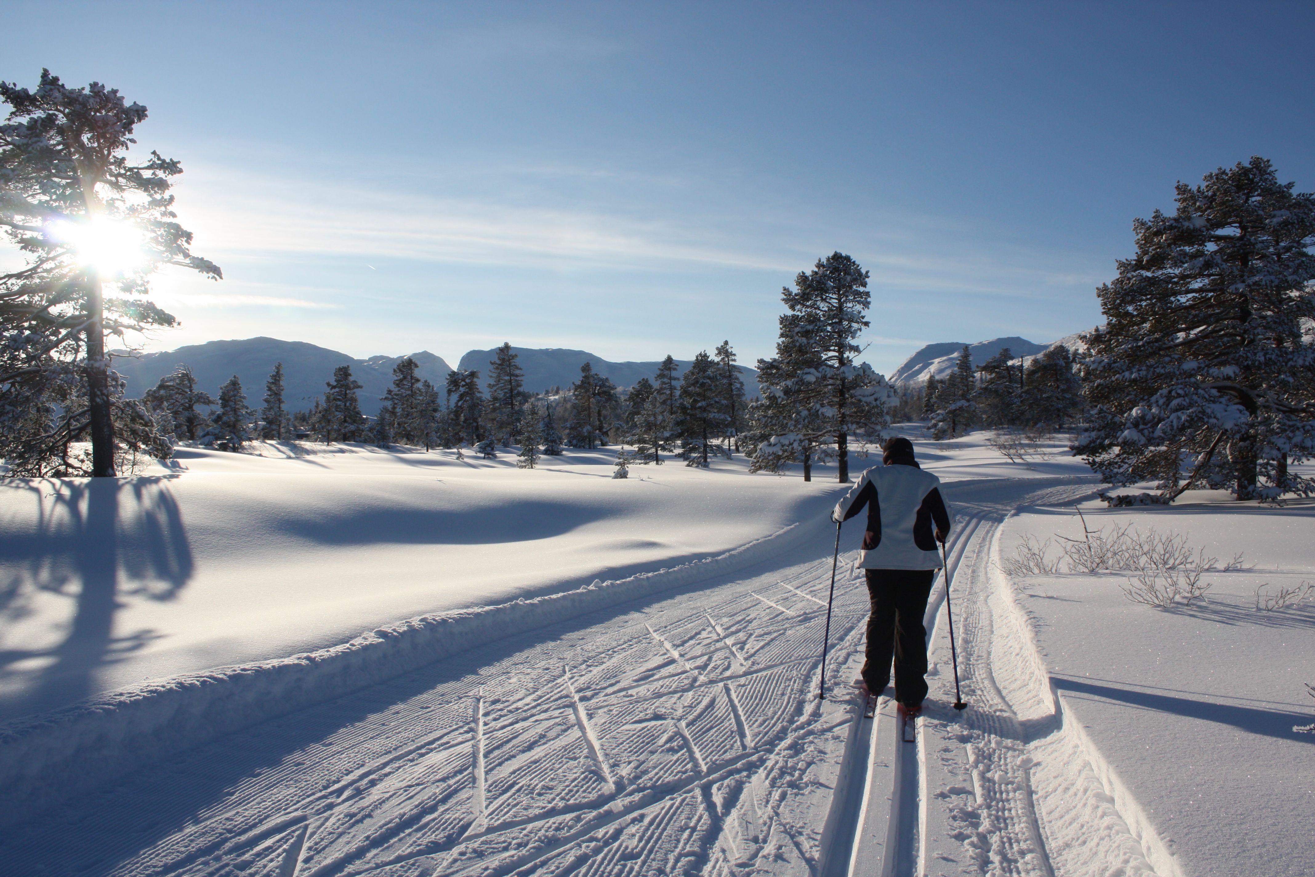 Løypenett