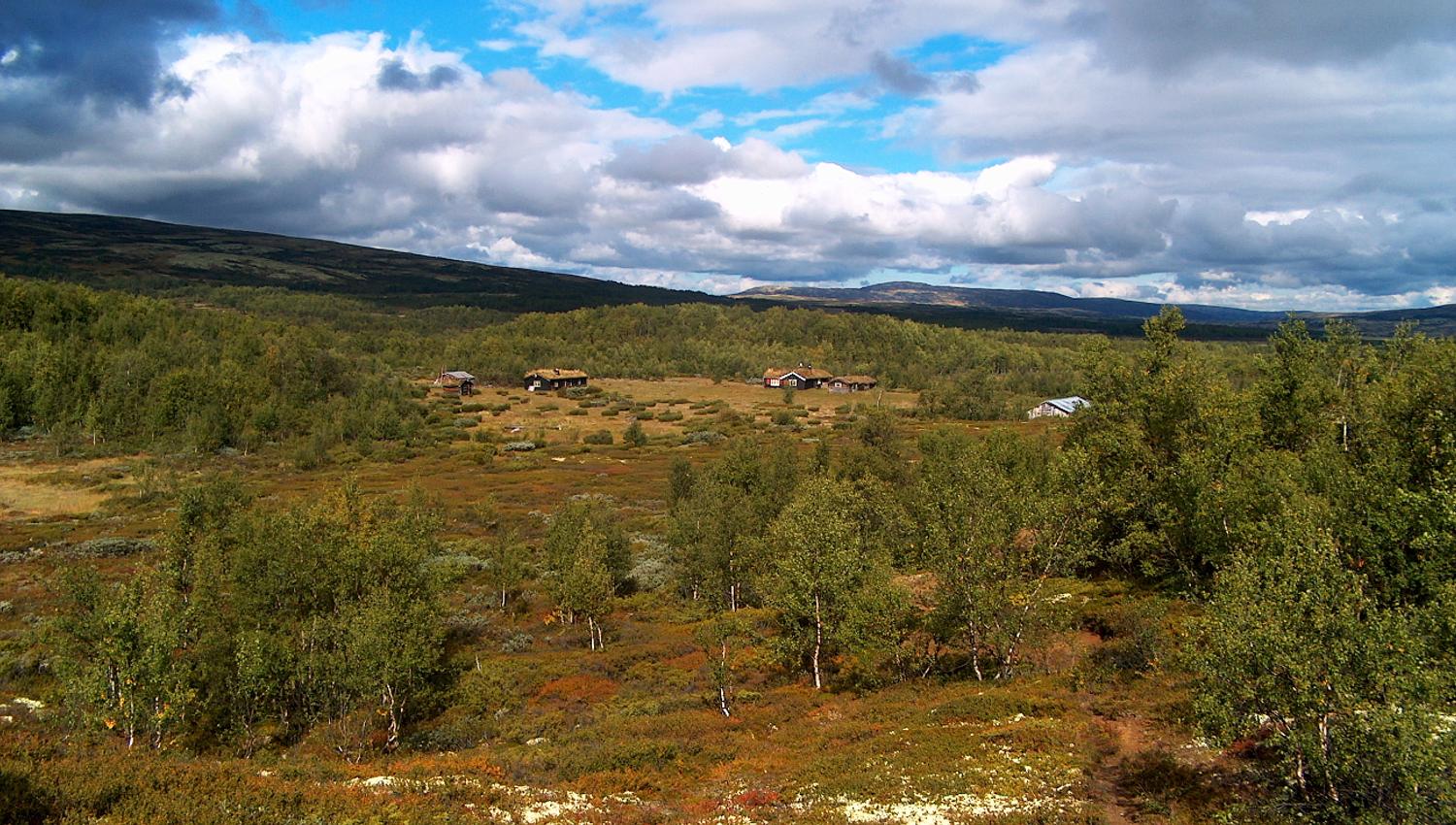 Knutshø landskap