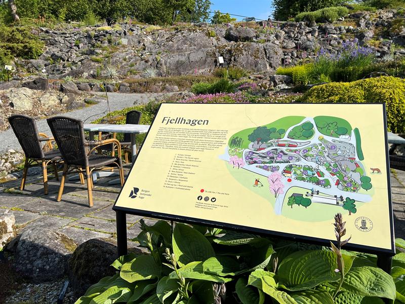 The arboretum and Bergen botanical garden