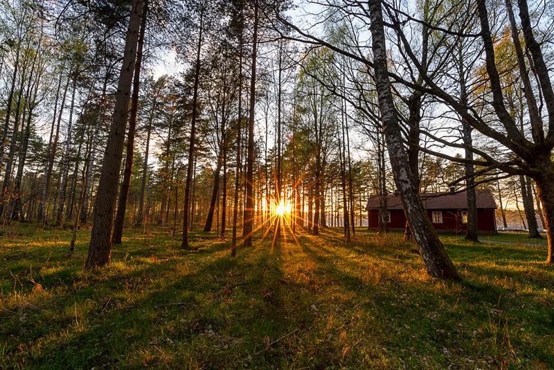 The cabin in the woods by the sea. Raet Nationalpark, Arendal, Norway