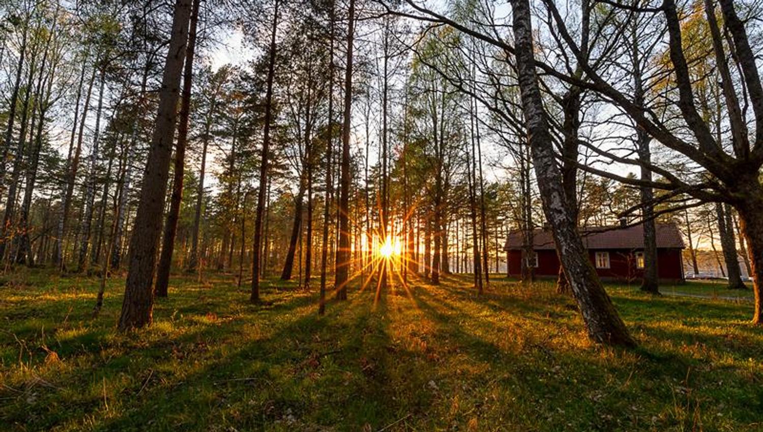 The cabin in the woods by the sea. Raet Nationalpark, Arendal, Norway