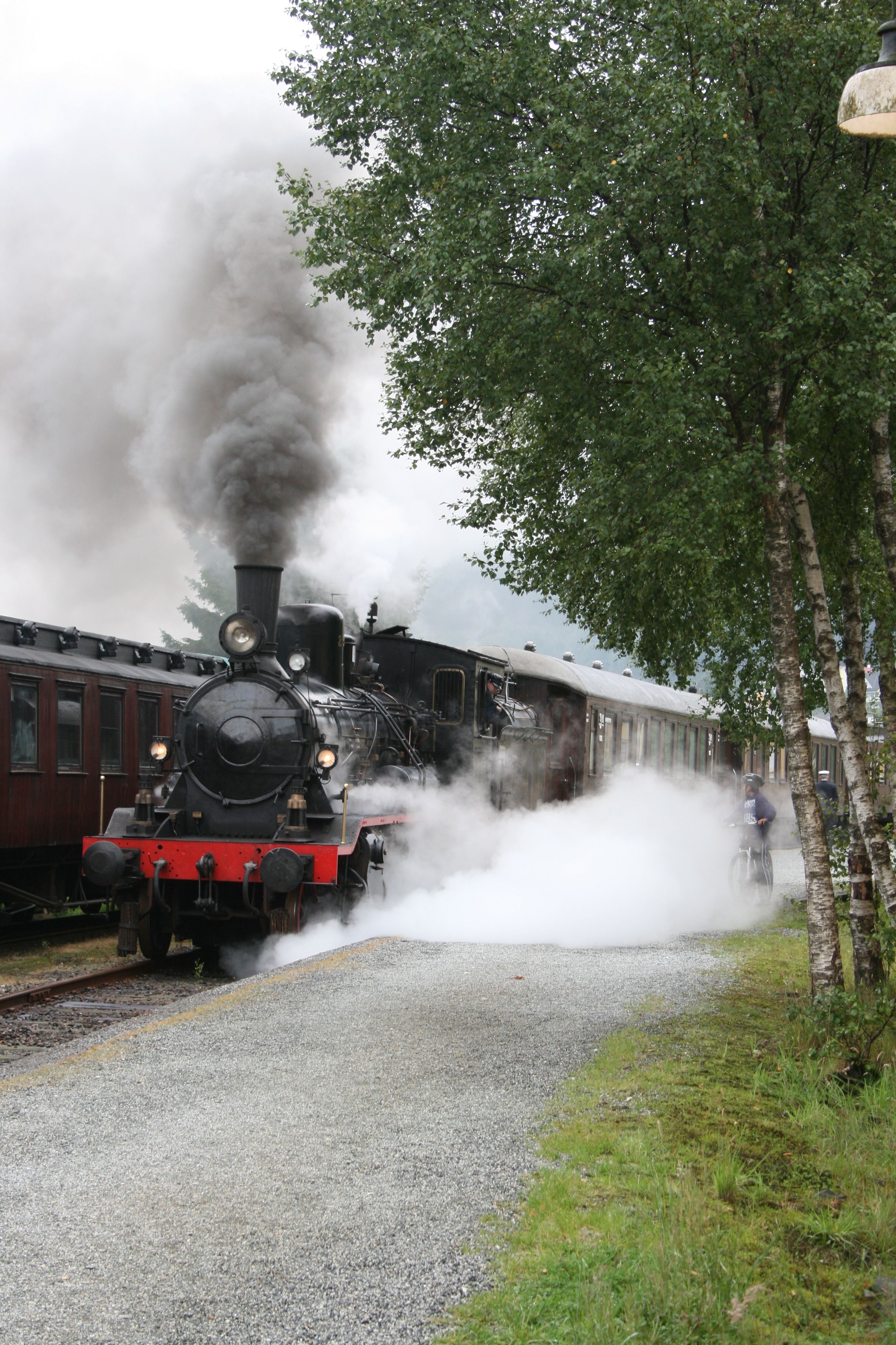 Bergen Heritage Tour
